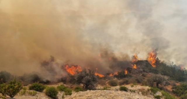 Son bir haftada ülkede toplam 16 yangın meydana geldi, 77 bin TL'lik zarar oluştu