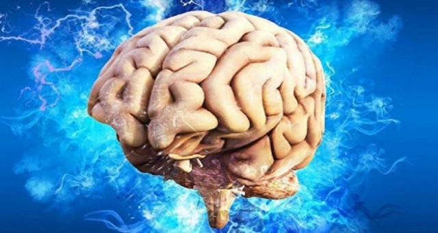 Bilim İnsanları, ölen bir insanın beyin aktivitelerini ilk kez görüntüledi