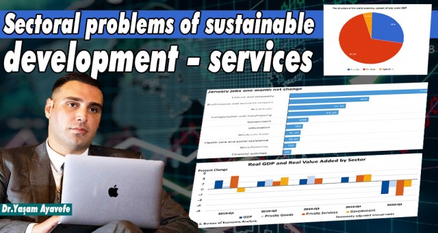 Sectoral problems of sustainable development – services