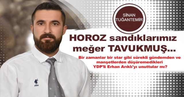 HOROZ sandıklarımız meğer TAVUKMUŞ.....