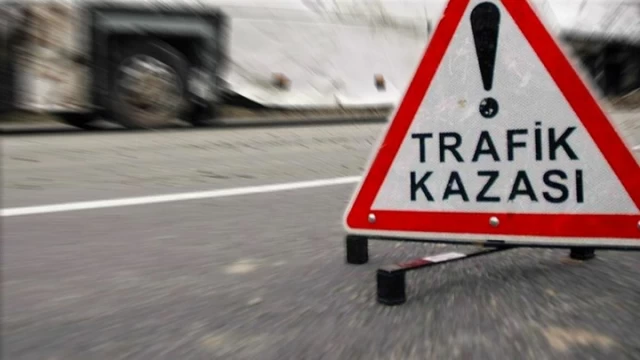 Yoldan çıkan araç yayaya çarptı