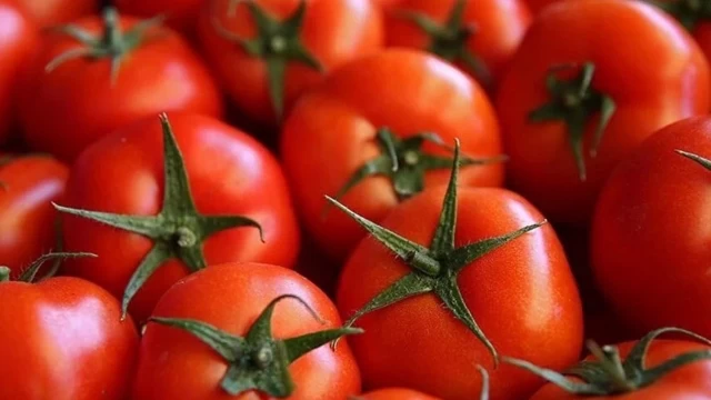 Rum basını yazdı: Türkiye’de üretilen domatesler Güney Kıbrıs’ta satılıyor