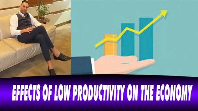 EFFECTS OF LOW PRODUCTIVITY ON THE ECONOMY