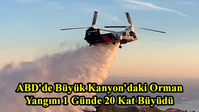 ABD'de Büyük Kanyon'daki Orman Yangını 1 Günde 20 Kat Büyüdü