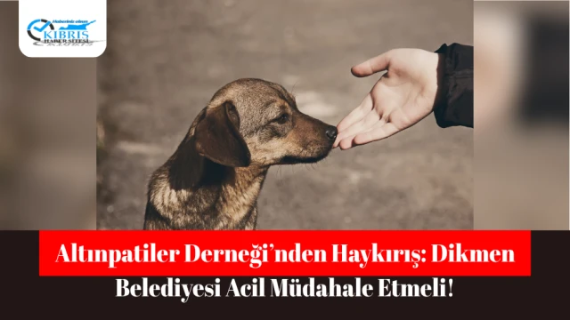 Altınpatiler Derneği’nden Haykırış: Dikmen Belediyesi Acil Müdahale Etmeli!
