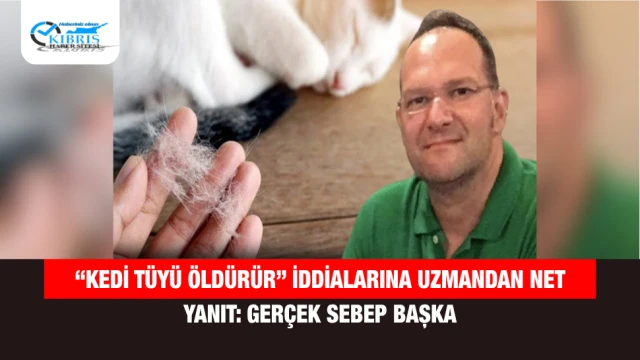 “Kedi Tüyü Öldürür” İddialarına Uzmandan Net Yanıt: Gerçek Sebep Başka
