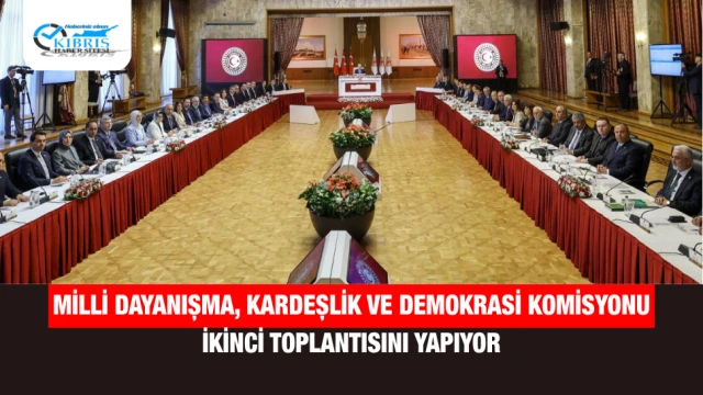 Milli Dayanışma, Kardeşlik ve Demokrasi Komisyonu İkinci Toplantısını Yapıyor