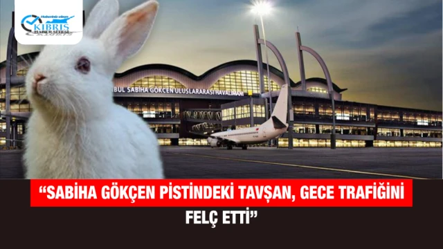 “Sabiha Gökçen Pistindeki Tavşan, Gece Trafiğini Felç Etti”