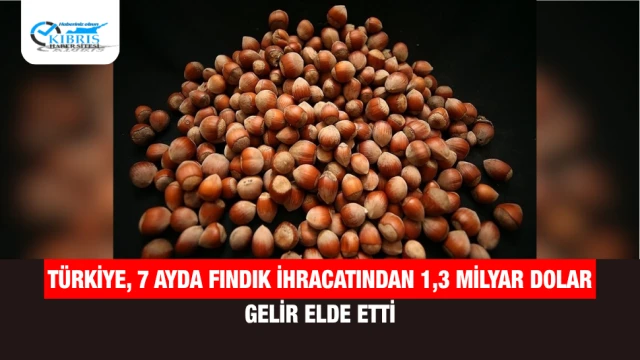 Türkiye, 7 Ayda Fındık İhracatından 1,3 Milyar Dolar Gelir Elde Etti