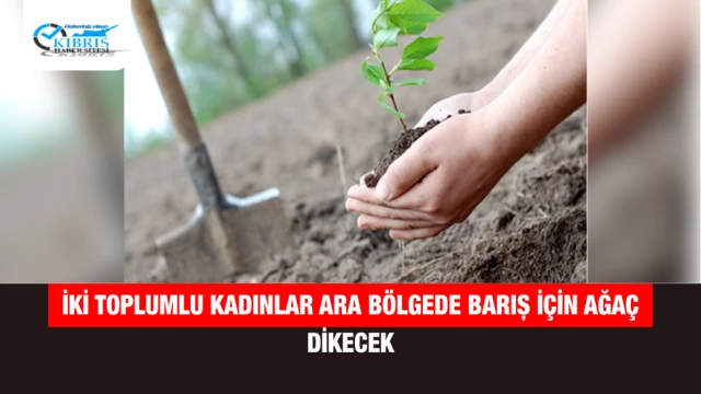 İki Toplumlu Kadınlar Ara Bölgede Barış İçin Ağaç Dikecek