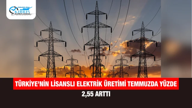 Türkiye’nin Lisanslı Elektrik Üretimi Temmuzda Yüzde 2,55 Arttı