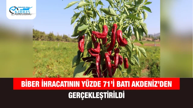 Biber İhracatının Yüzde 71’i Batı Akdeniz’den Gerçekleştirildi