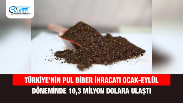Türkiye’nin Pul Biber İhracatı Ocak-Eylül Döneminde 10,3 Milyon Dolara Ulaştı