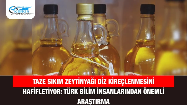 Taze Sıkım Zeytinyağı Diz Kireçlenmesini Hafifletiyor: Türk Bilim İnsanlarından Önemli Araştırma