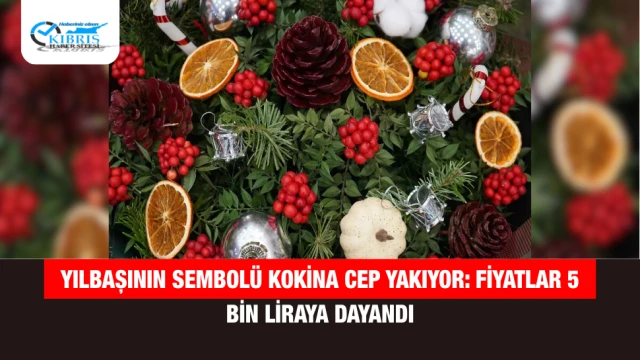 Yılbaşının sembolü kokina cep yakıyor: Fiyatlar 5 bin liraya dayandı