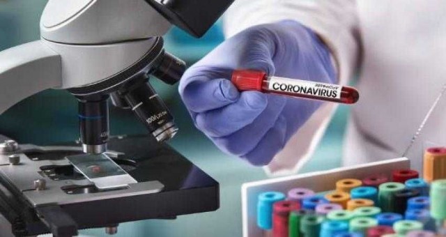 Güney'de Corona tablosu ürkütücü!