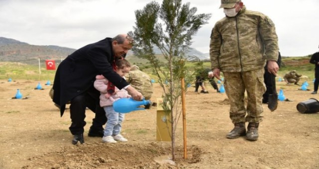 Taşkent’te “TMT Şehitleri Anma ve Ağaç Dikme Töreni” düzenlendi