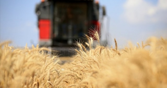 Küresel gıda fiyatları Temmuz'da yüzde 8,6 geriledi