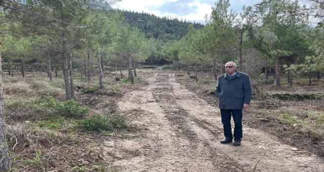 Girne'de dev yeşil alan için çalışma başladı