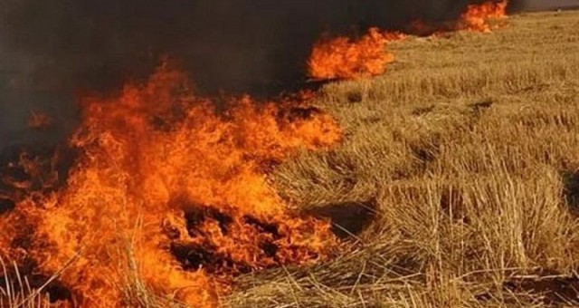 170 adet balya yandı