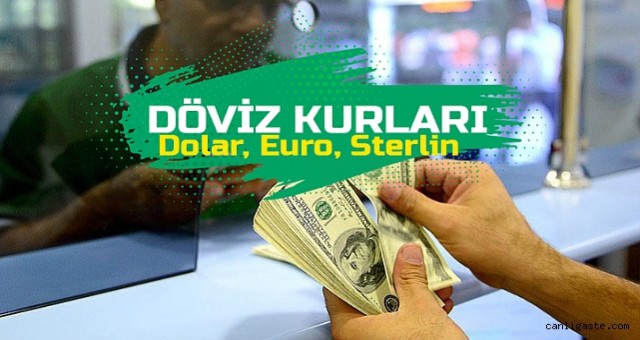 Döviz Kurları
