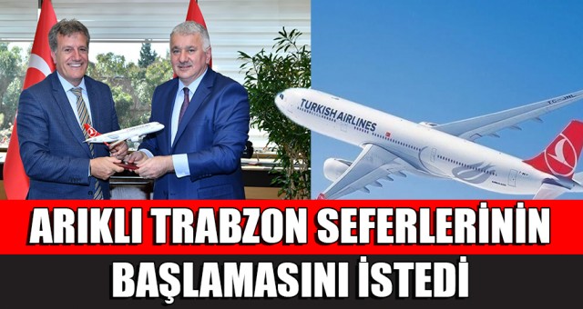 Bayındırlık ve Ulaştırma Bakanı Arıklı, THY Genel Müdürü Ekşi ile görüştü