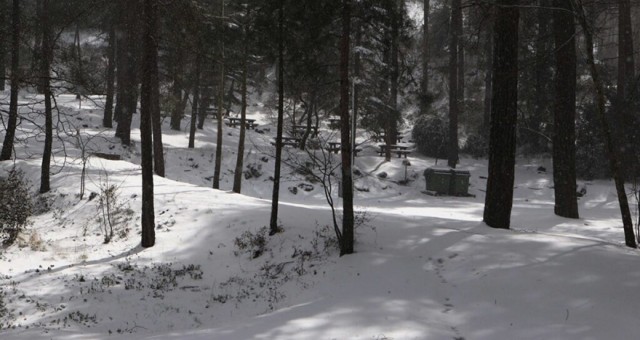 Trodos normal araçlara kapandı