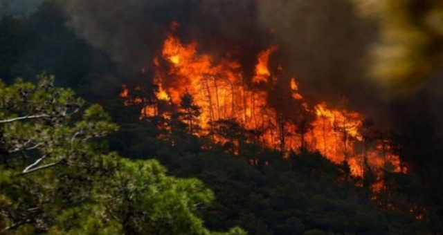 Marmaris'teki yangın büyüyerek sürüyor!