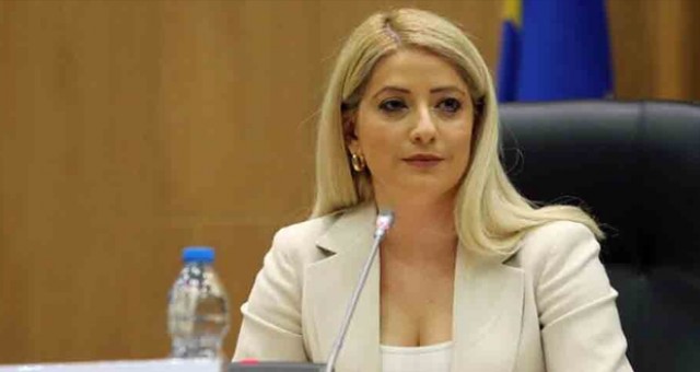 Annita Dimitriu AHP’nin ortak kararına Kıbrıs sorunuyla ilgili güçlü bir ifade eklenmesini kutladı