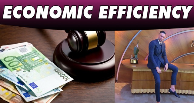 ECONOMIC EFFICIENCY