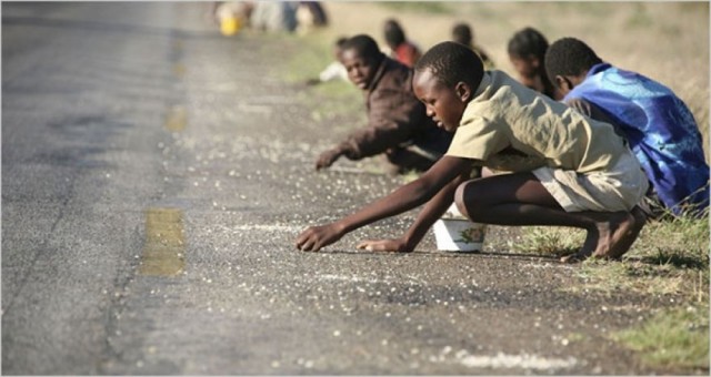 Doğu Afrika'da milyonlar açlık krizinin eşiğinde