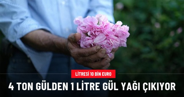 4 ton gülden 1 litre gül yağı çıkarıyorlar