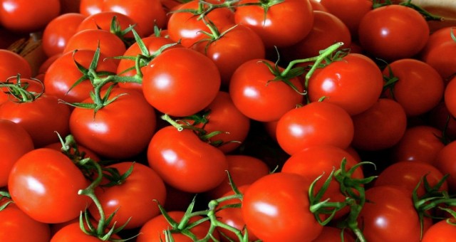 Domates son yedi yılın rekorunu kırdı