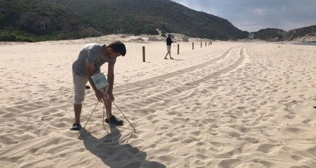 Caretta yuvalarına zarar verene 109 bin lira ceza!