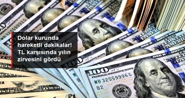 TL karşısında yılın zirvesini gördü