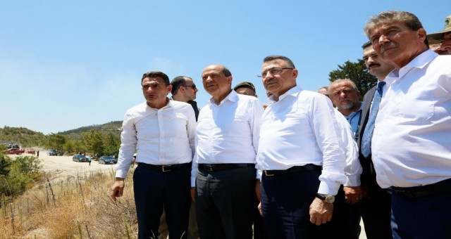 Cumhurbaşkanı Tatar: “Fidan dikim çalışmalarına ivedilikle başlayacağız”