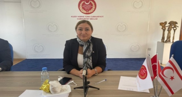 Komitede 2 tasarı onaylandı