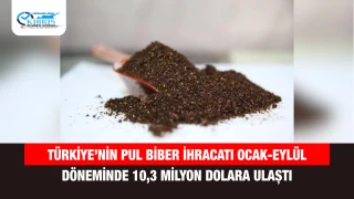 Türkiye’nin Pul Biber İhracatı Ocak-Eylül Döneminde 10,3 Milyon Dolara Ulaştı