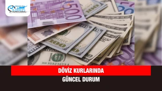 Döviz Kurlarında Güncel Durum