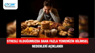 Stresli Olduğumuzda Daha Fazla Yememizin Bilimsel Nedenleri Açıklandı