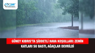 Güney Kıbrıs’ta şiddetli hava koşulları: Zemin katları su bastı, ağaçlar devrildi