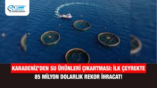 Karadeniz’den Su Ürünleri Çıkartması: İlk Çeyrekte 85 Milyon Dolarlık Rekor İhracat!